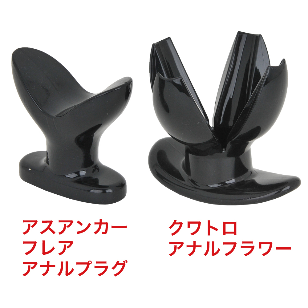 クワトロアナルフラワーの商品画像 9