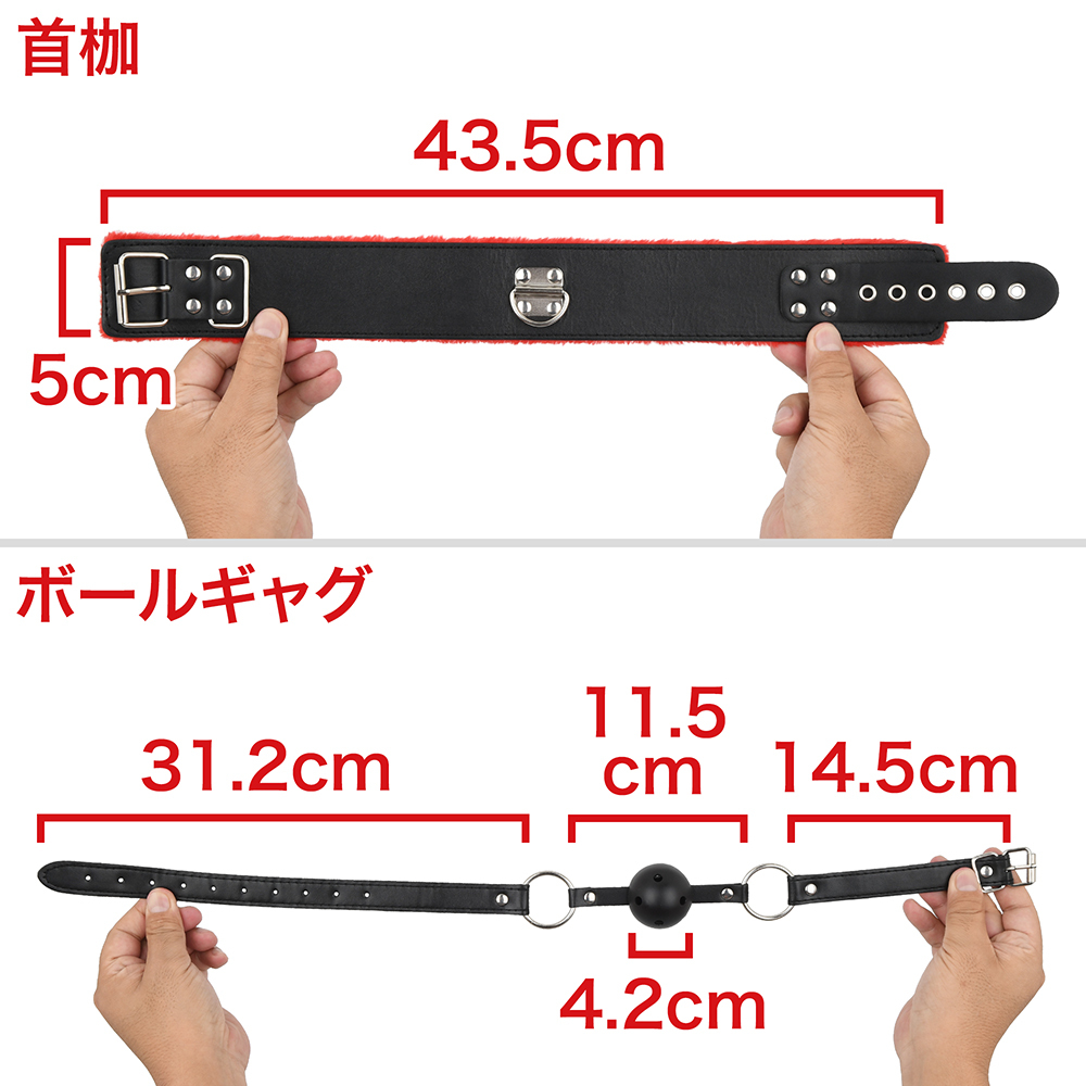 デキのよい初心者ＳＭセットの画像 2