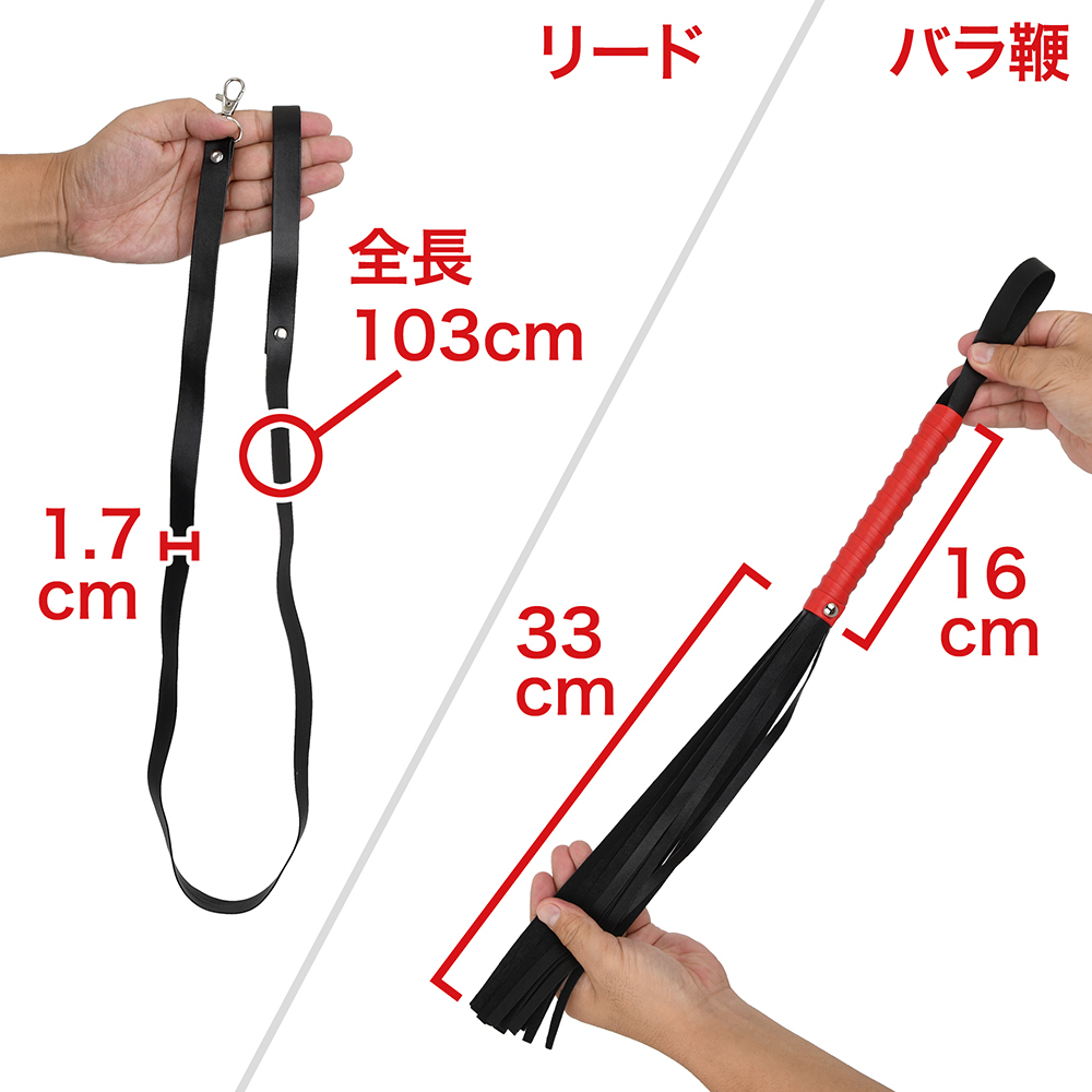 デキのよい初心者ＳＭセットの商品画像 7