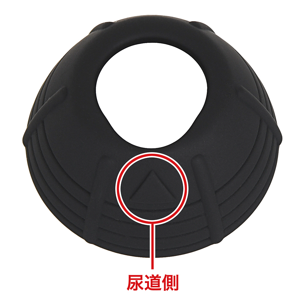 カセイサラバの商品画像 10