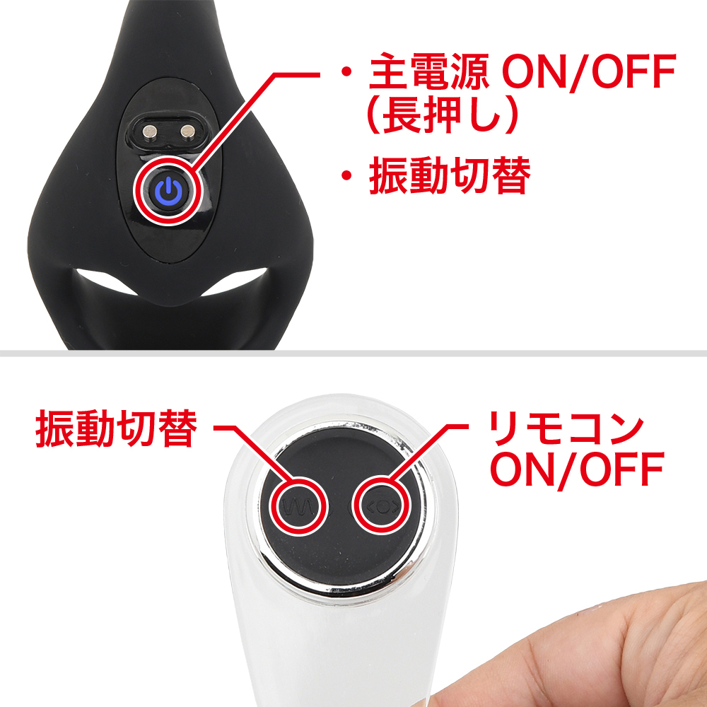 WAD Rayの商品画像 8