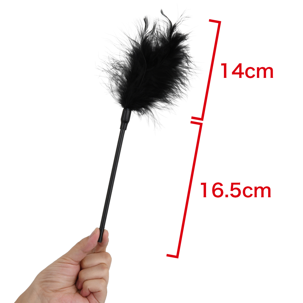 SMであそぼ 豪華10点セットの商品画像 12