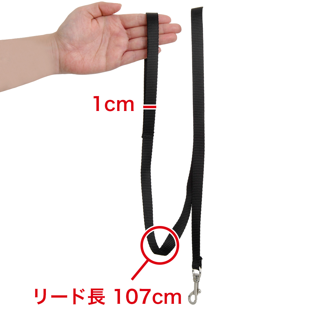 初心者もハマってしまう ソフトSM入門BEST10 No9 背面ベルト付首輪手枷の商品画像 6