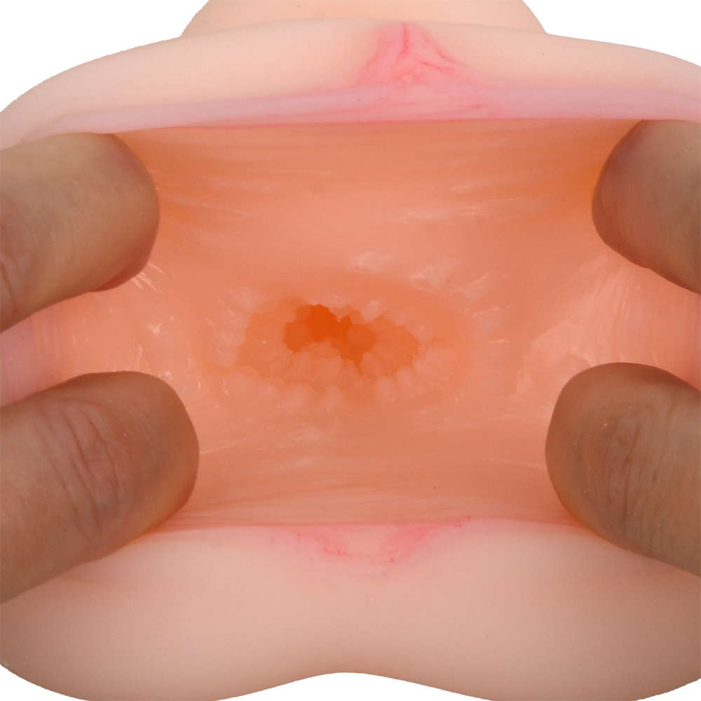 プレミアムホールEXの商品画像 16