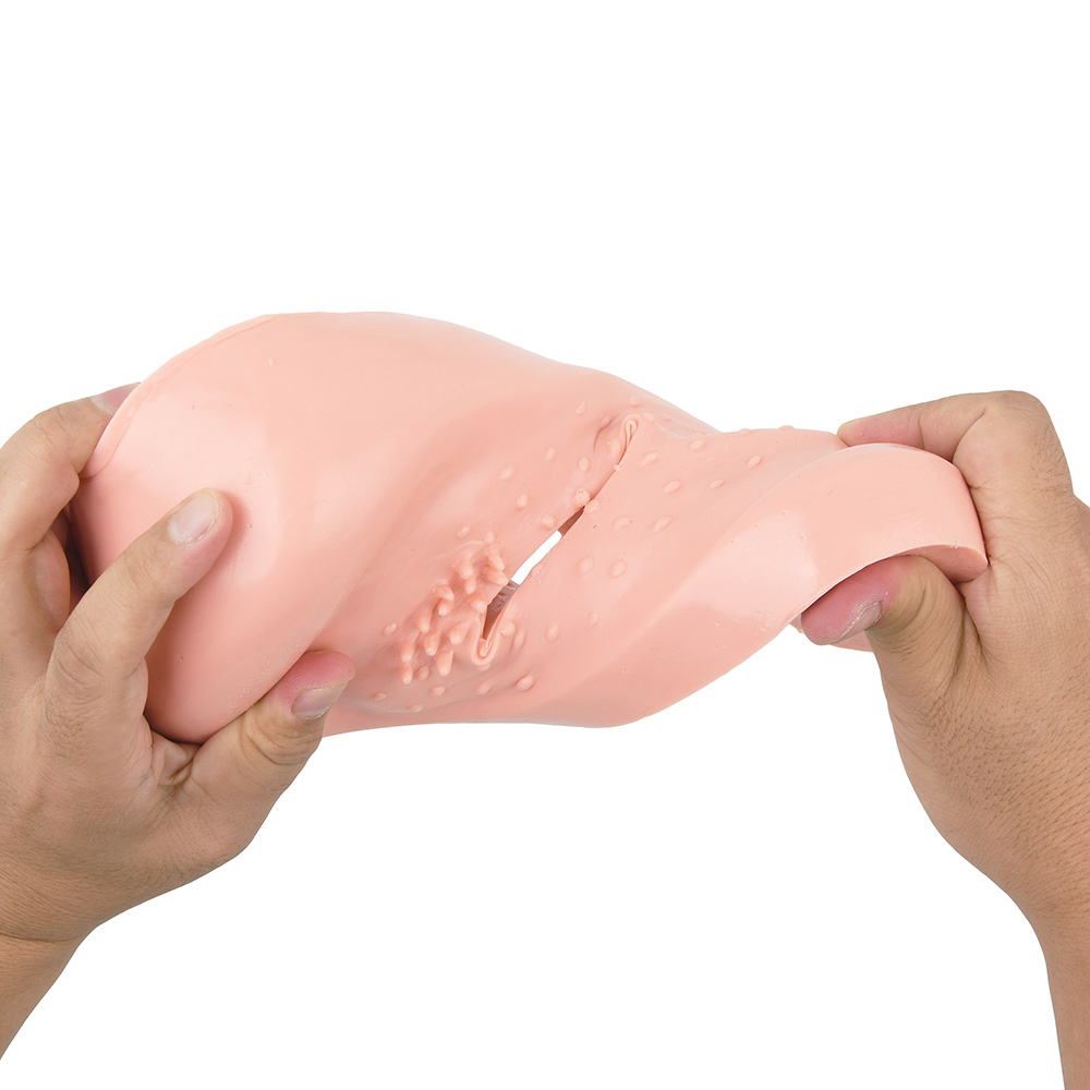 チン豪 玉座の間の商品画像 6