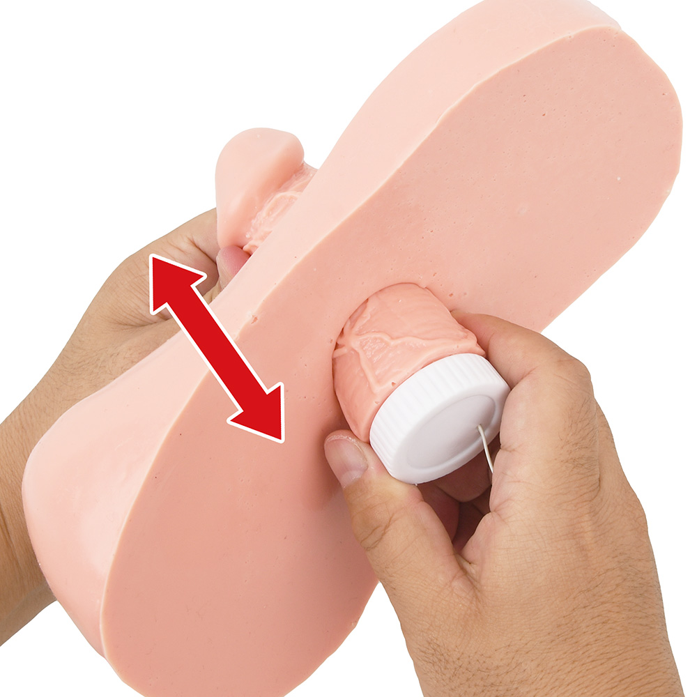 チン豪 玉座の間の商品画像 8