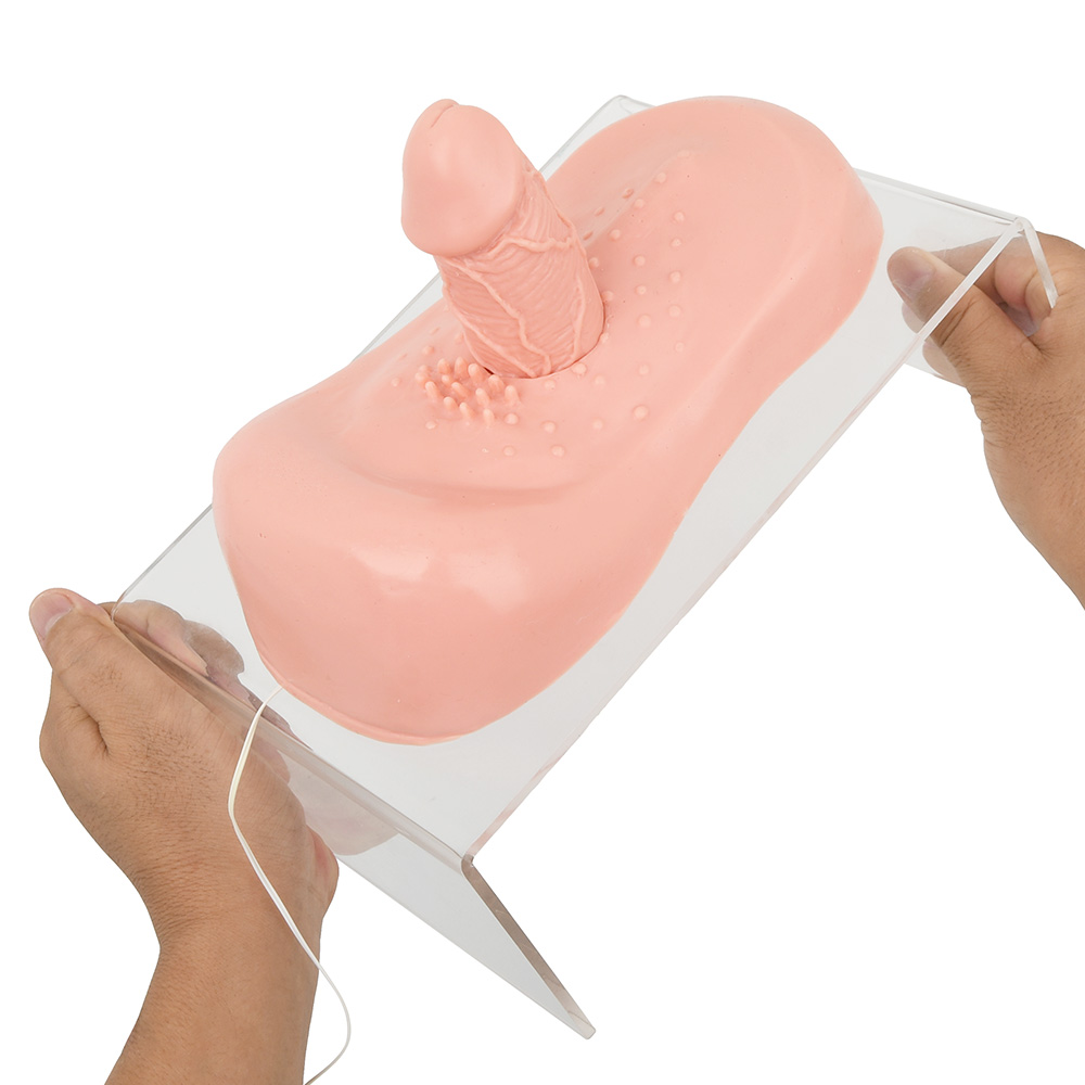 チン豪 玉座の間の商品画像 11