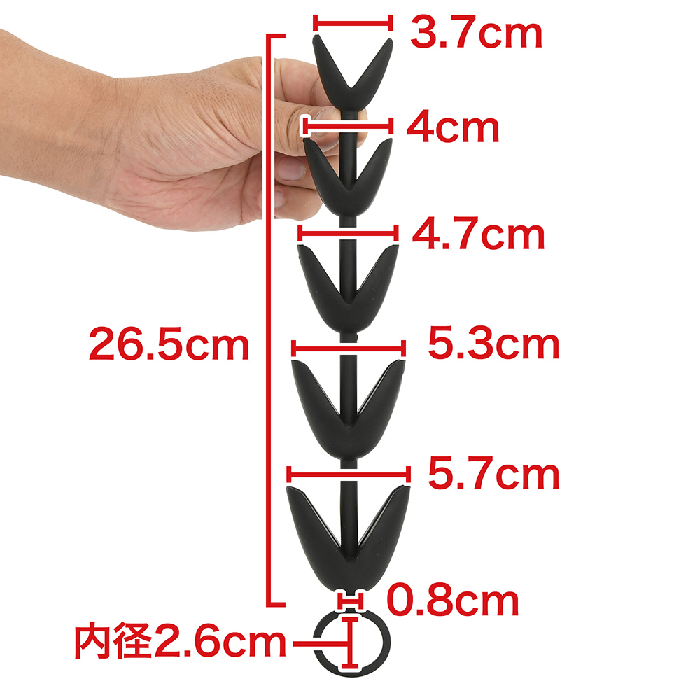 ５連アナパッカーンの画像 4