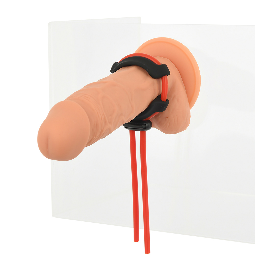 締王の商品画像 15