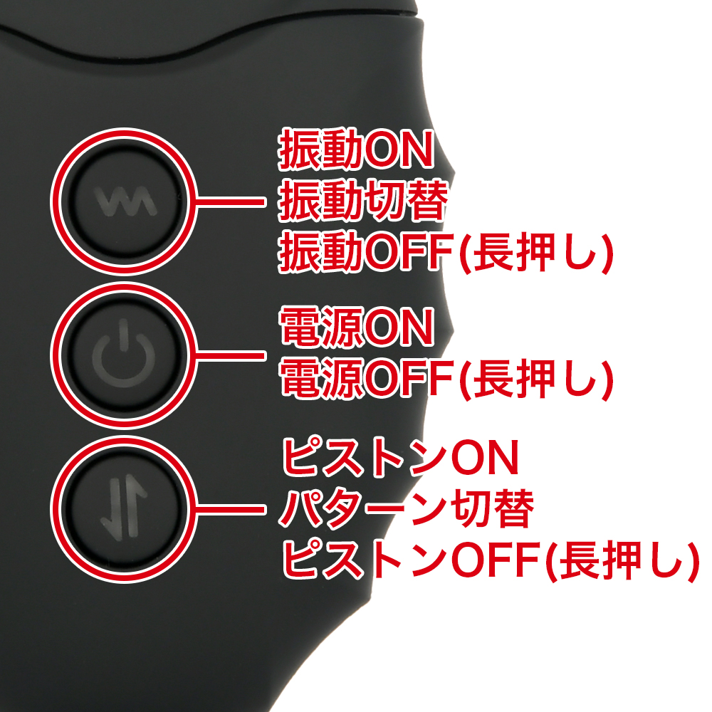 アナスラスターの商品画像 9