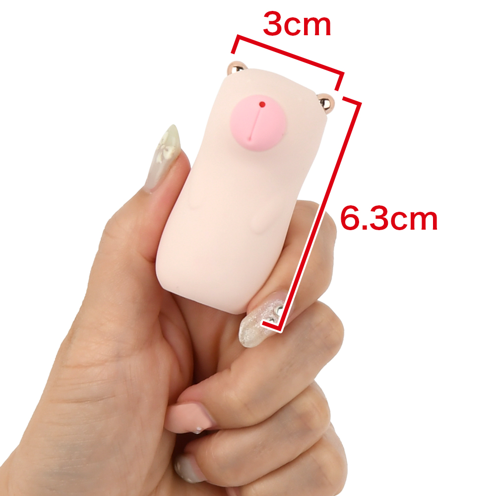 namiya Big Bearの商品画像 6