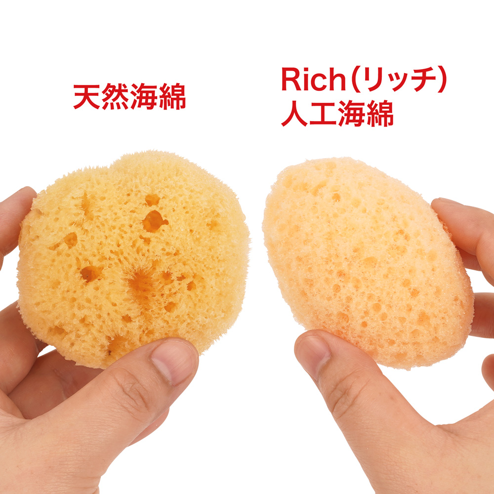 Rich（リッチ）人工海綿の商品画像 8