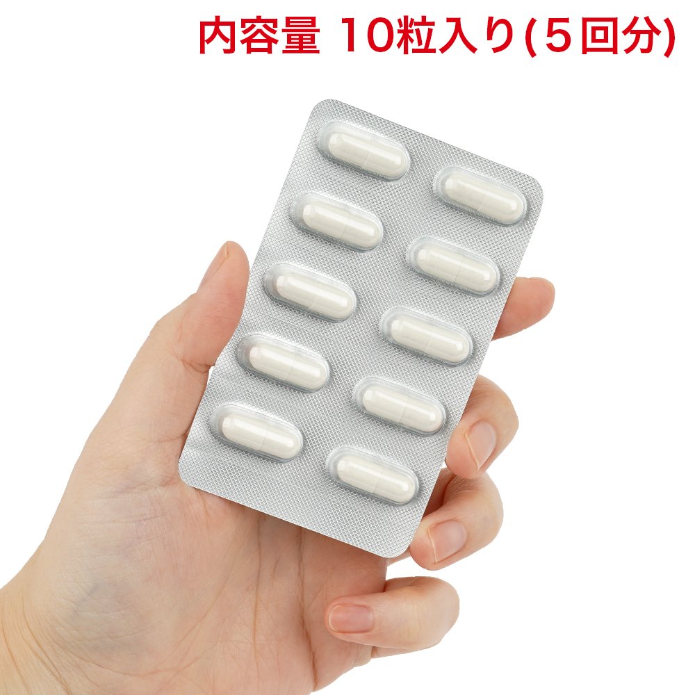 ストロングＤ 海蛇 ５回分の画像 3