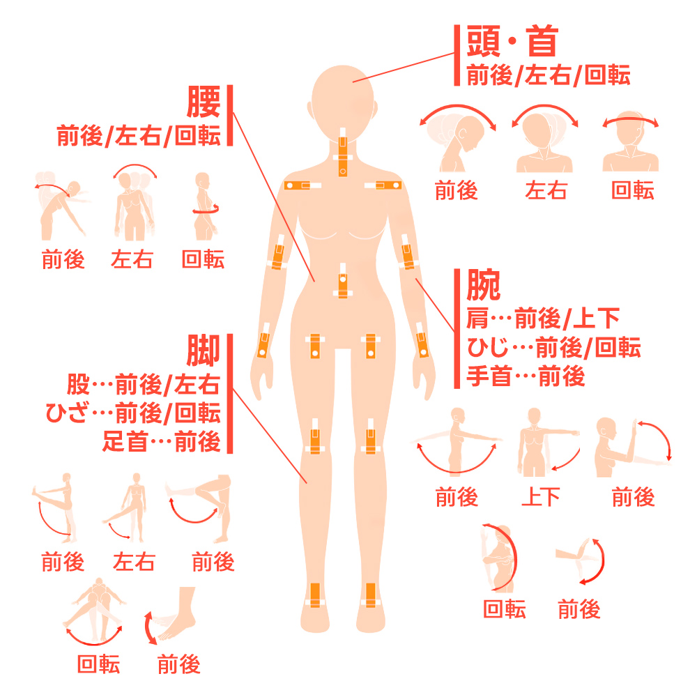 155cmドール 沙月（さつき）の商品画像 14