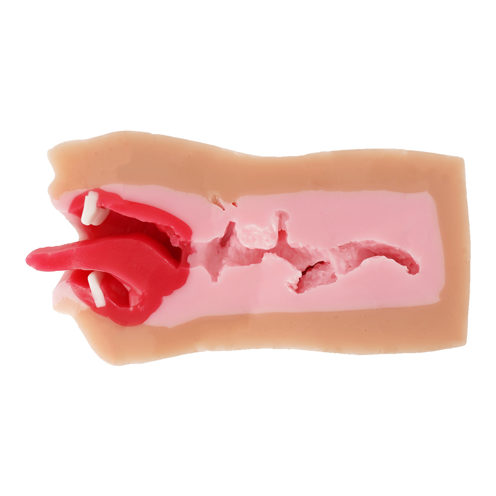 超ギャル盛り こってり濃厚フェラの商品画像 12