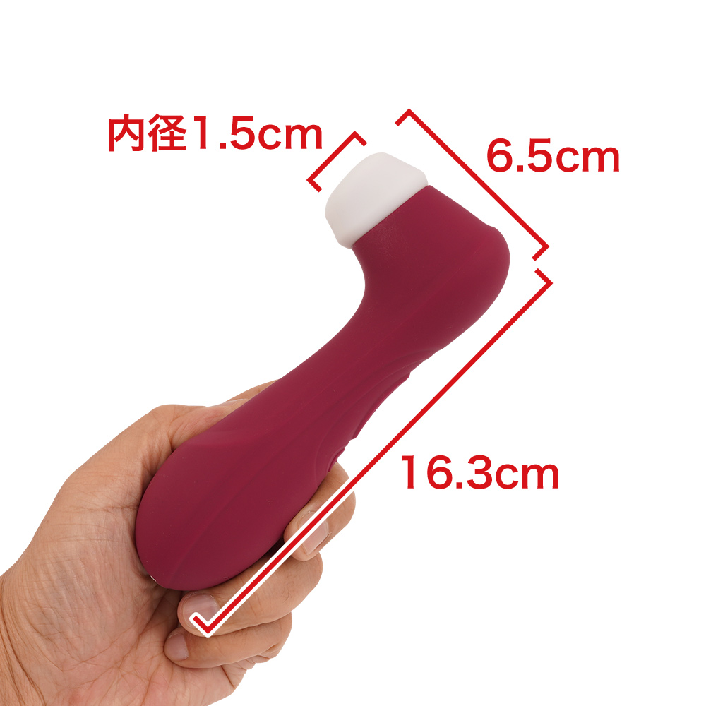 サティスファイヤ Pro２ Ｇ３の商品画像 6