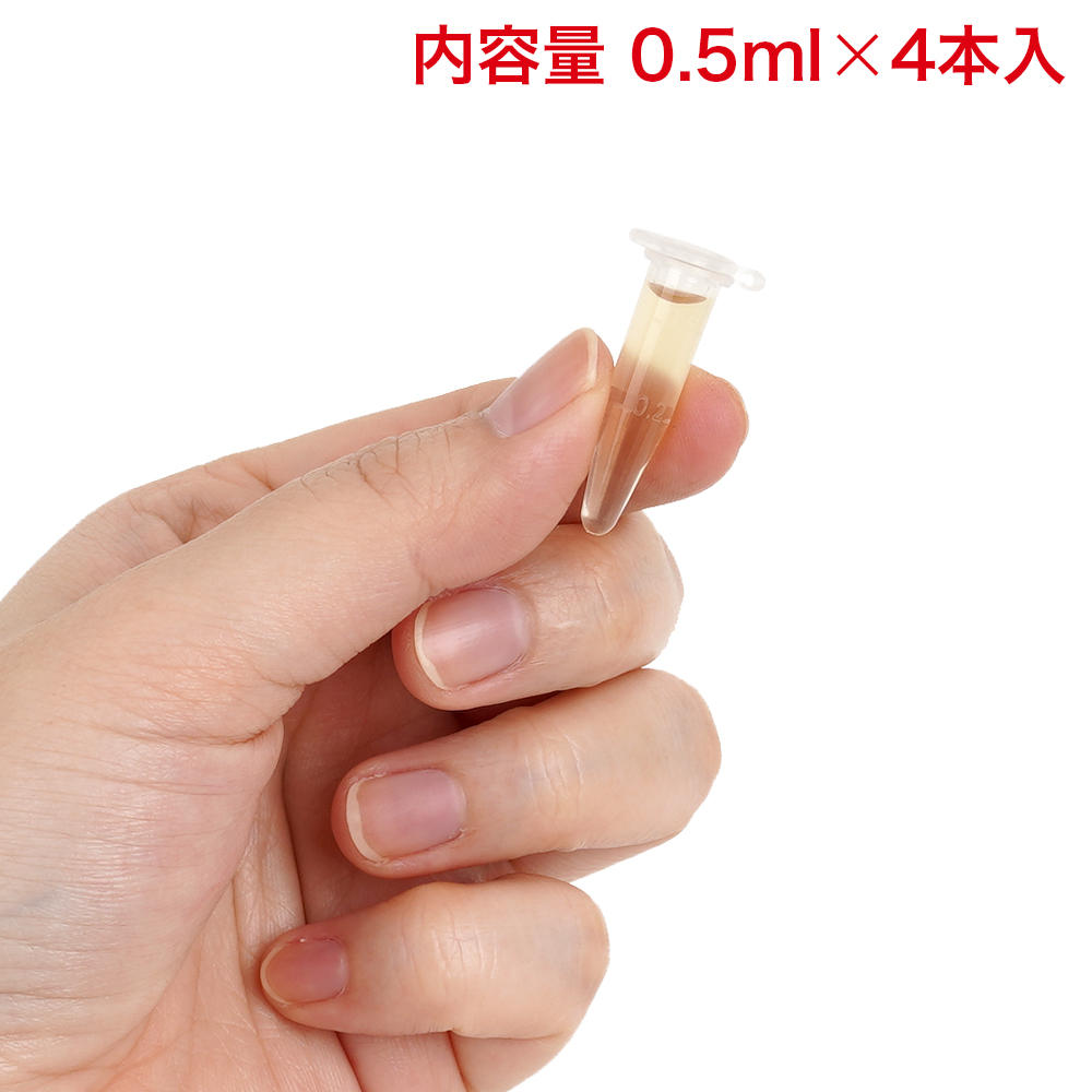 濡れアワビの画像 3