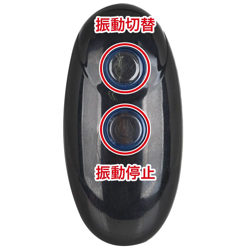 極イキバックバイブ10 ぷにっとビーズの商品画像 9