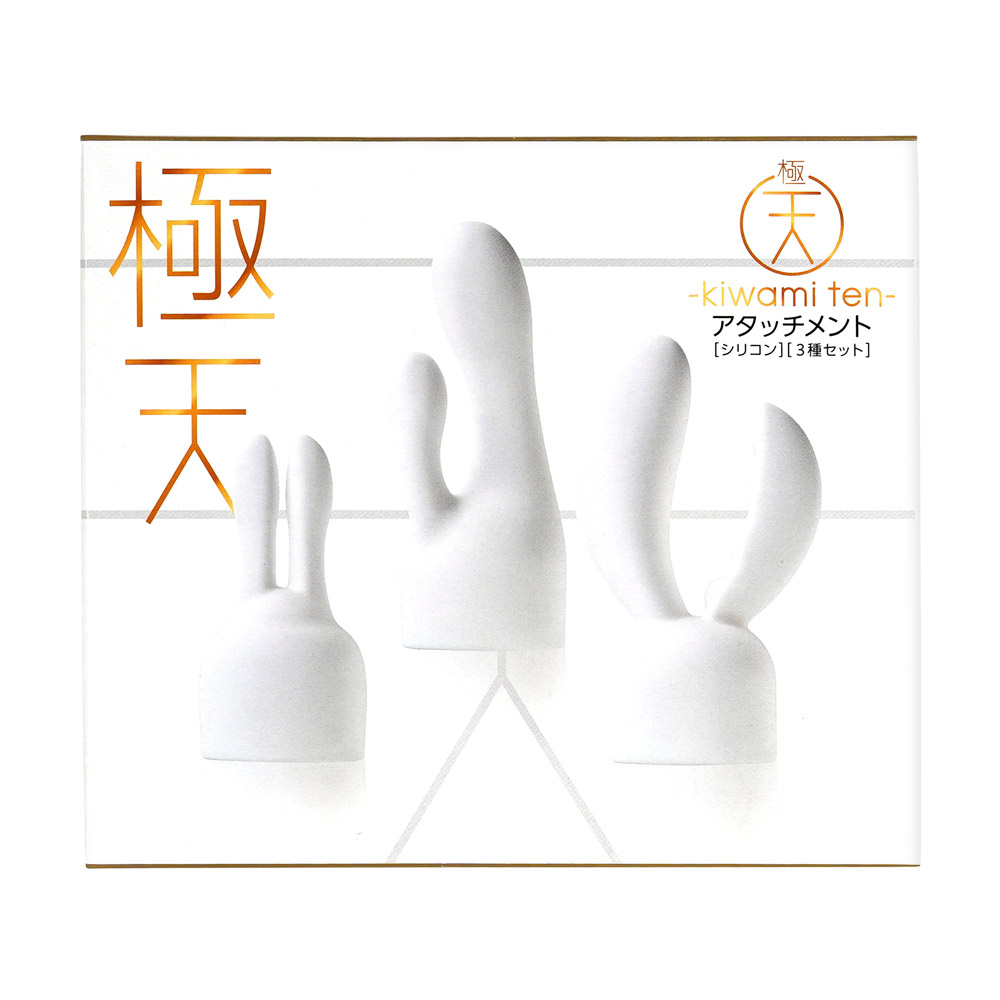 極天アタッチメントの画像 3