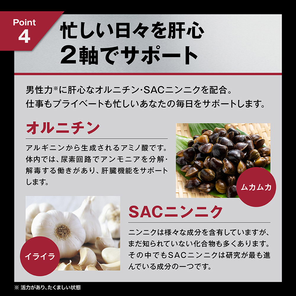HOMTECH（オムテック） ライジングアップ サプリメントの商品画像 10