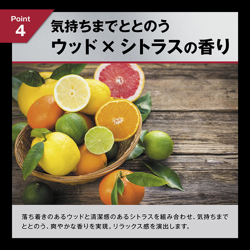 HOMTECH（オムテック） ライジングアップ ウォッシュの商品画像 16