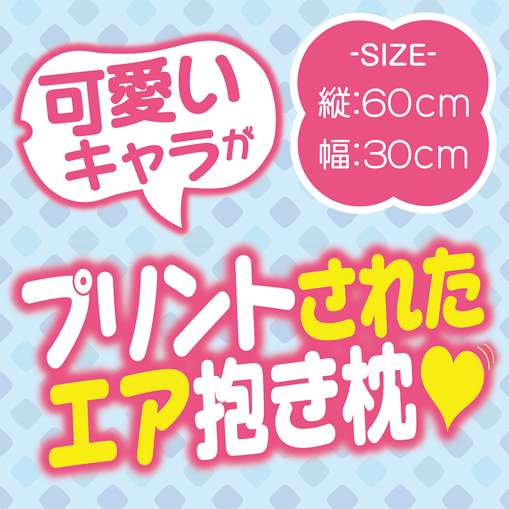 プリントインサートエアピロー＃4 AIの商品画像 4