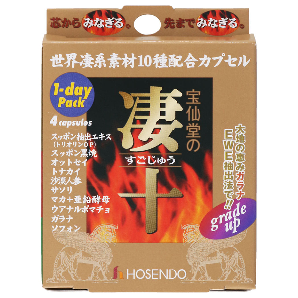 凄十1DAYパックの画像 2