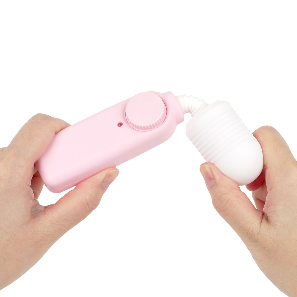 いつものデンマの商品画像 5