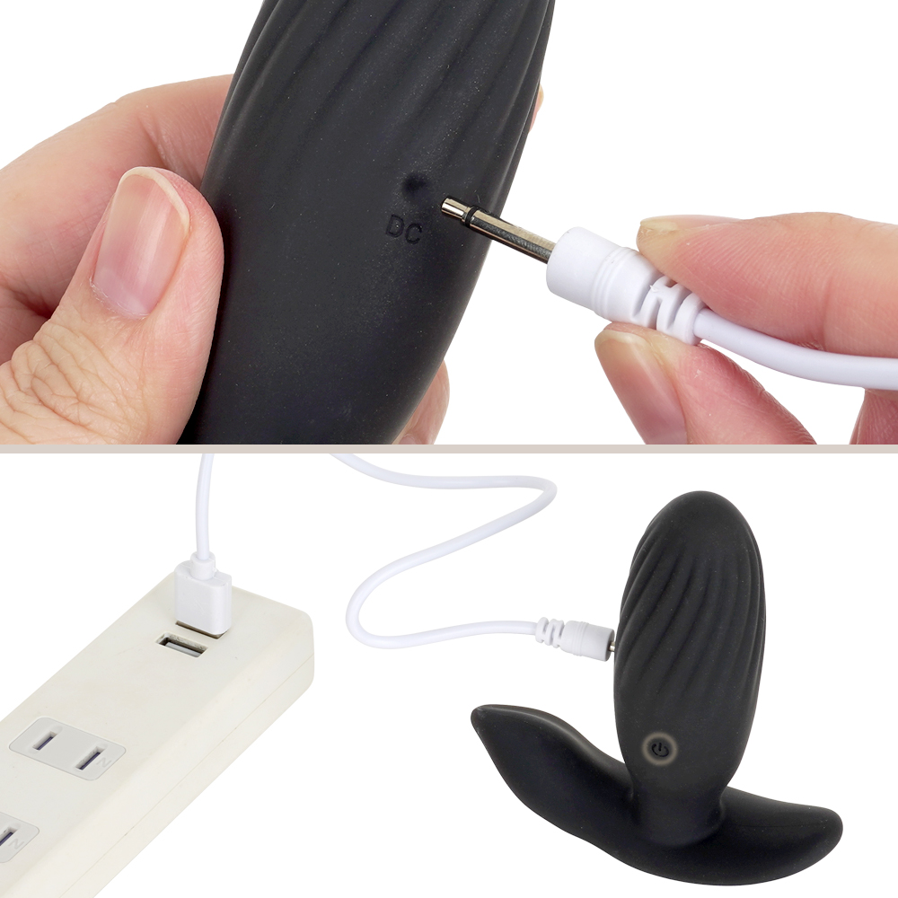 ANALyze Plug EXの商品画像 12