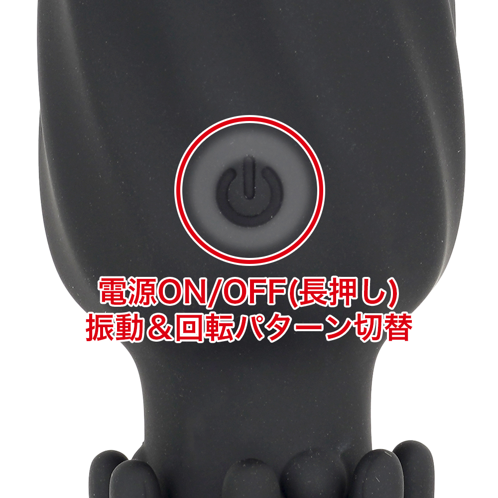 ANALyze Plug EXの画像 3