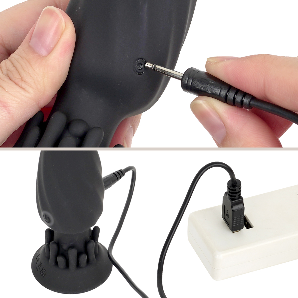ANALyze Plug EXの画像 4