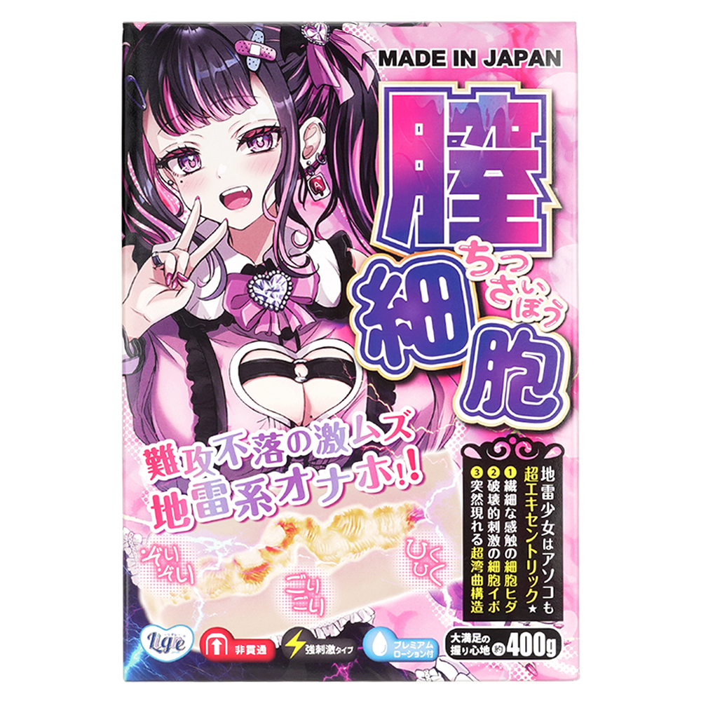 膣細胞の画像 3