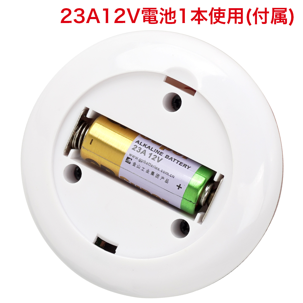 極筋 GALAXY DICKの商品画像 12
