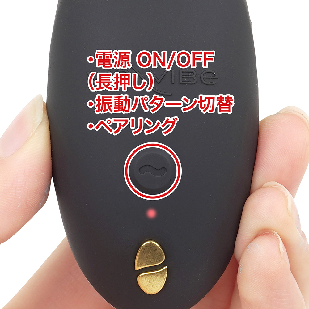 ウィバイブ Chorus Pro（コーラスプロ）の商品画像 9