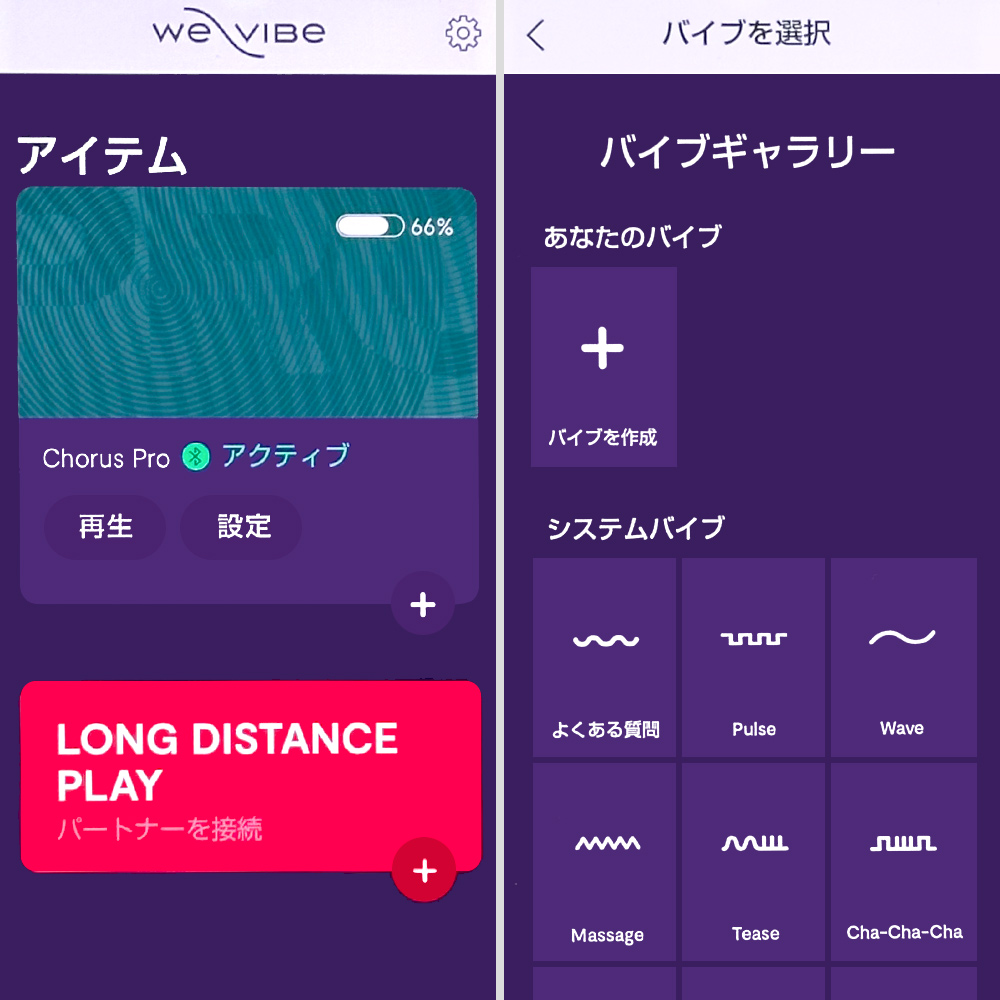 ウィバイブ Chorus Pro（コーラスプロ）の商品画像 16