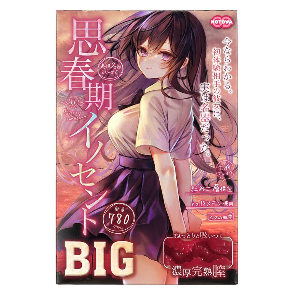 思春期イノセントBIGの画像 3