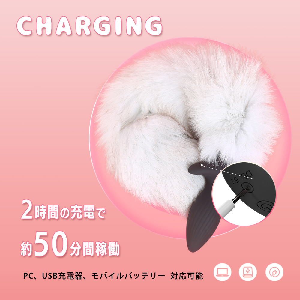 しっぽ型バイブの商品画像 11
