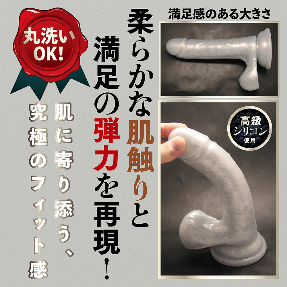 シルバーディックの画像 4