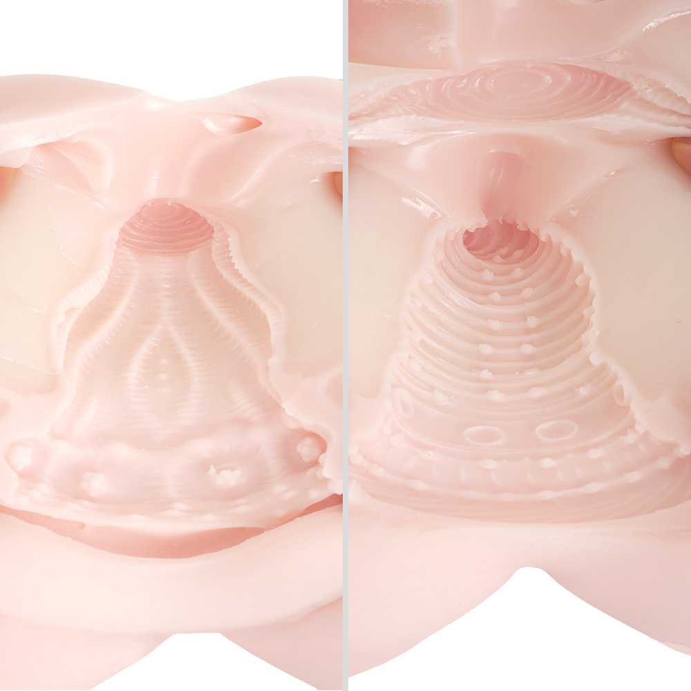 そうぞうのはるかうえの商品画像 11