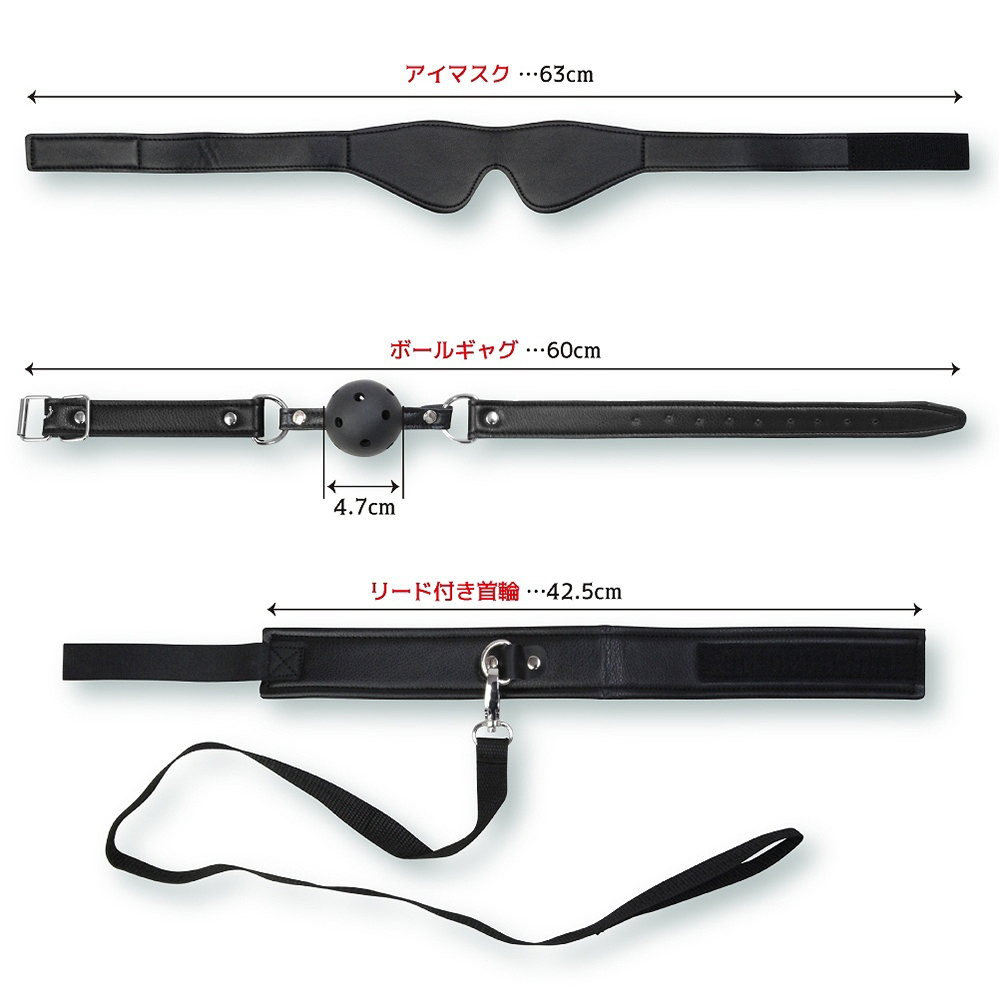 【SALE】アブノーマル 今から始めるSMプレイセットの画像 4