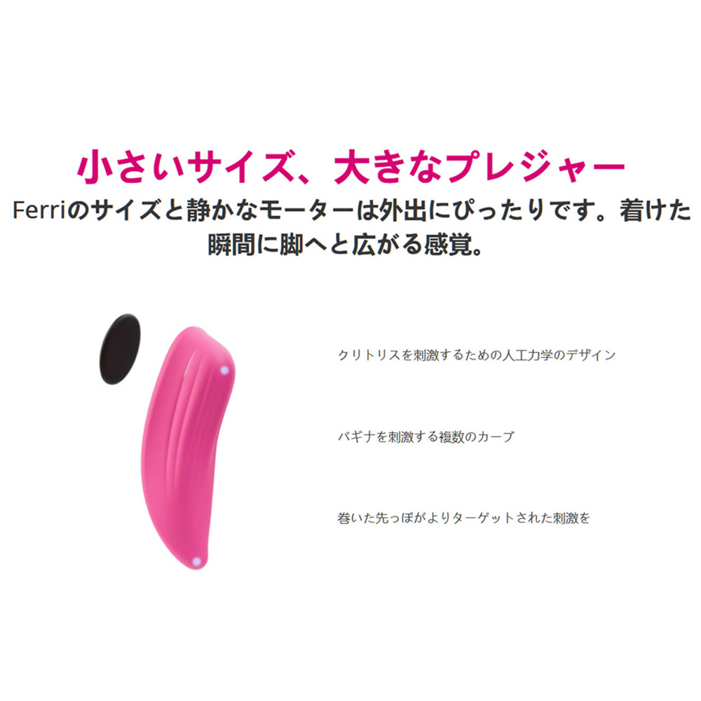 LOVENSE Ferriの商品画像 5